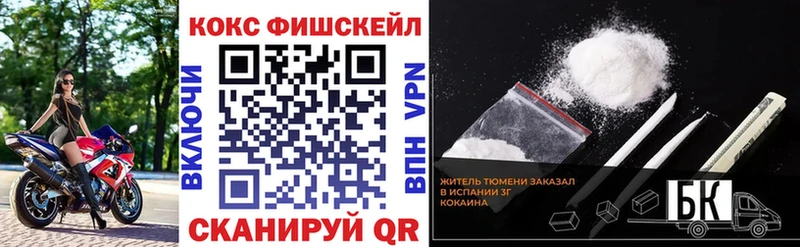 Кокаин Fish Scale  где купить наркоту  Мытищи 