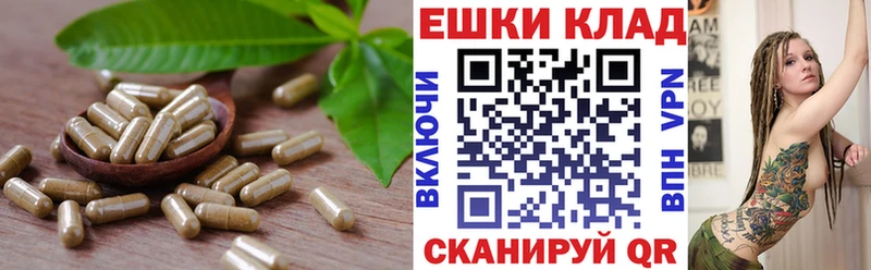 Экстази диски  ОМГ ОМГ зеркало  Мытищи 