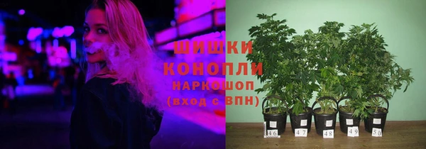 спиды Горнозаводск