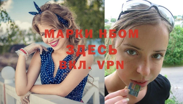 ALPHA-PVP Гусев