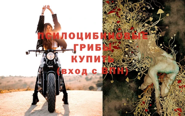мдпв Горняк